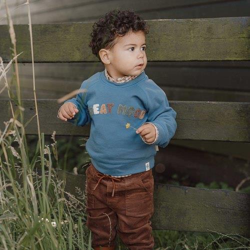 Ribbroek - Bruin - Little Farm - Image 3